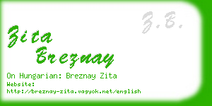 zita breznay business card